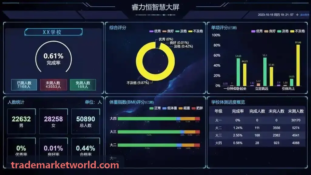 Bybit可视化报表